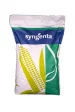 Насіння кукурудзи СИ Шикарі 80 тис.н. Syngenta