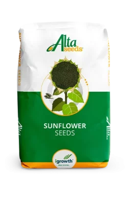Насіння соняшника Хайсан 180 ІТ 150 тис.н. Alta seeds