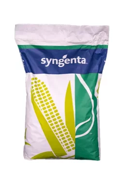 Насіння кукурудзи СИ Чорінтос 80 тис.н. Syngenta