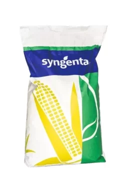 Насіння кукурудзи СИ Артос 80 тис.н. Syngenta