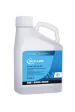 Інсектицид Біскайя® 5л Bayer