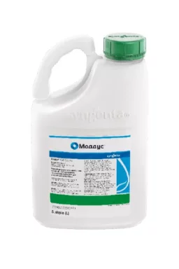 Регулятор росту Моддус® 5л Syngenta