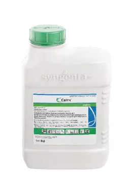 Фунгіцид Світч® 1кг Syngenta