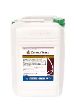 Протруйник Селест® Макс 20л Syngenta