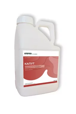 Гербіцид Капут 20л STEFES 